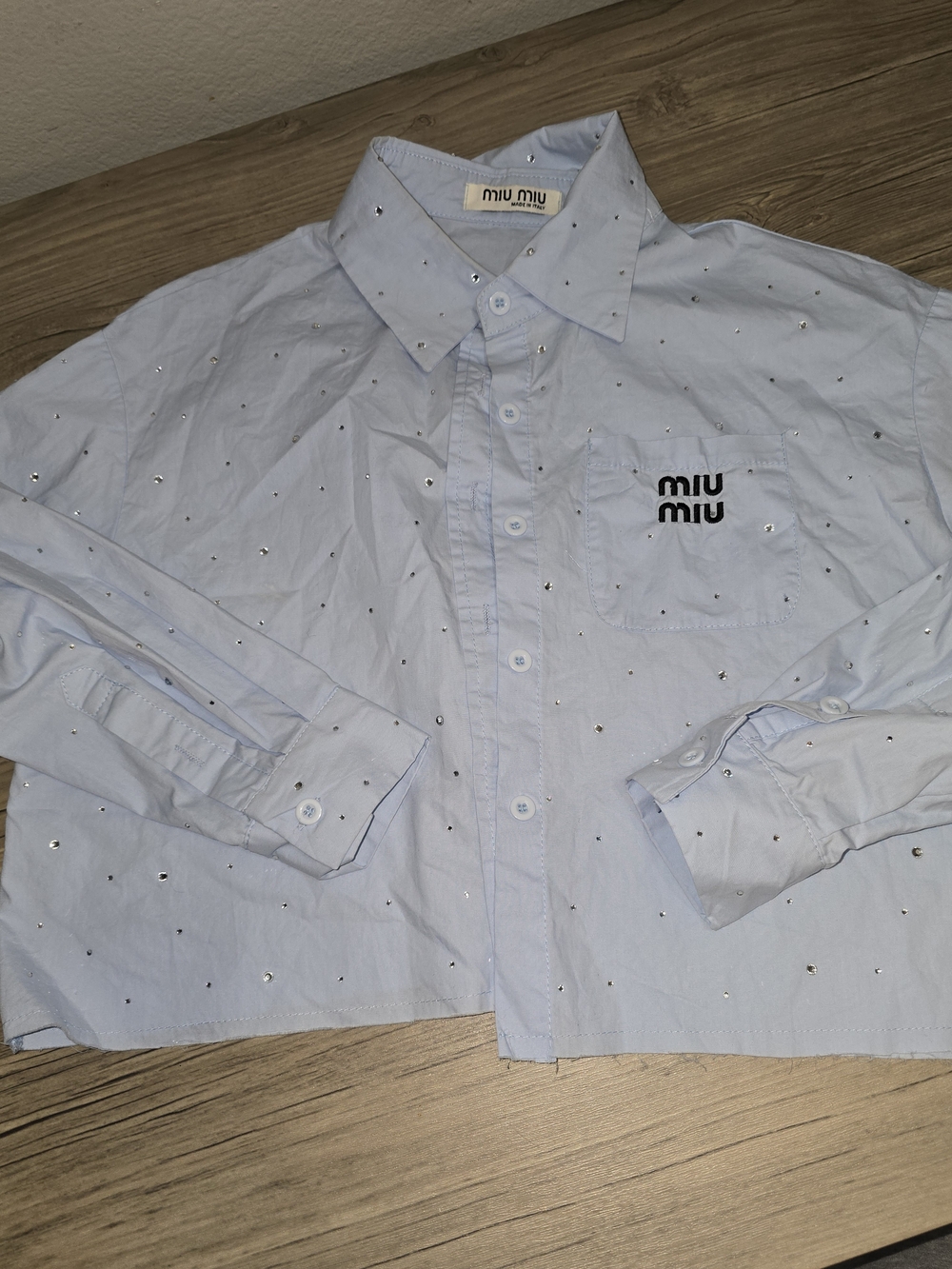 Miu Miu Pale Blue Crystal-Dotted Button-Down Shirt